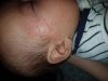 20180408_102623.jpg