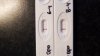 IMG-20180408-WA0003.jpeg