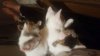 20180408_233558.jpg