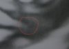 20180409_102918.jpg