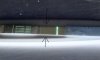 396CE194-C393-41A2-BA2B-1525D2463188.jpeg