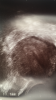 9EF9F4DE-CA01-4A64-840E-11F095B45FCF.png