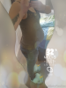 Photo_1523612209744.png