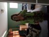 20180416_173522.jpg