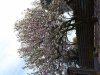 20180417_144339.jpg