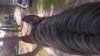 20160921_144524.jpg