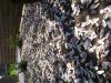 20180418_131416.jpg