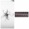 1A59ABBD-C589-4724-97CD-9CAE51DF3850.png
