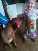 IMG-20171125-WA0000.jpg