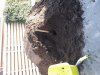 20180420_091032.jpg