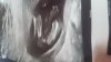IMG-20180418-WA0000.jpeg