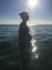 IMG-20180422-WA0015.jpg
