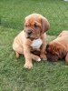 IMG-20180417-WA0016.jpg