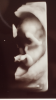 03C793D3-7DD6-4945-997D-D6EF95DABF96.png