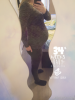Photo_1524639191106.png