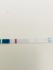 53049288-9FC2-49C7-AEBE-A18D431D821B.jpeg