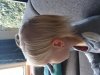 20171027_151508.jpg