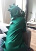 20180429_165258.jpg