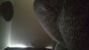 20180429_183153.jpg
