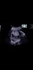 Screenshot_20180501-063614_Photos.jpg