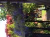 05253E14-B82C-49F7-B1C1-F5A5D8BFF3F7.jpeg