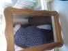 20180502_075524.jpg