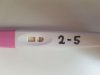 2-5.jpeg