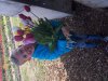 20180503_182216.jpg