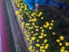20180503_180142.jpg
