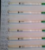 20121205_141014_1_569.jpg