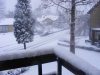 DSCF9168.jpg
