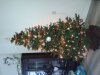 20121205_134439.jpg