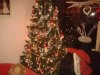 2012-12-08 20.07.50.jpg