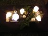 DSCF7624.jpg