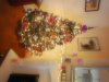 kerst 002.jpg
