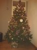 2012-12-07 17.20.46.jpg