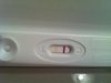 test 11 dpo.jpg