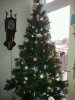 kerstboom.jpg