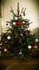 2012-12-08 12.04.36.jpg