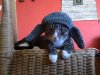 IMG_20180504_113400-2.jpg