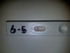 6-5.jpeg