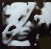IMG-20180506-WA0016.jpg