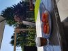 20180507_101628.jpg
