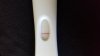 Test 07052018 5dp5dt 10dpo.jpg