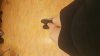 20180508_110603.jpg