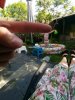 IMG_20180508_172225.jpg