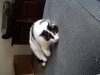 20180508_202958.jpg