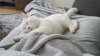 20180211_170004.jpg