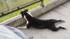IMG-20180508-WA0007.jpg