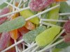 8bfb38991f_1400140794_Zure-lollies__list-noup.jpg